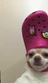 FindingWill21's avatar