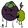 Guava4ever