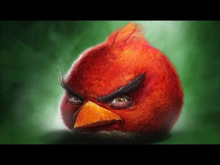 angry bords